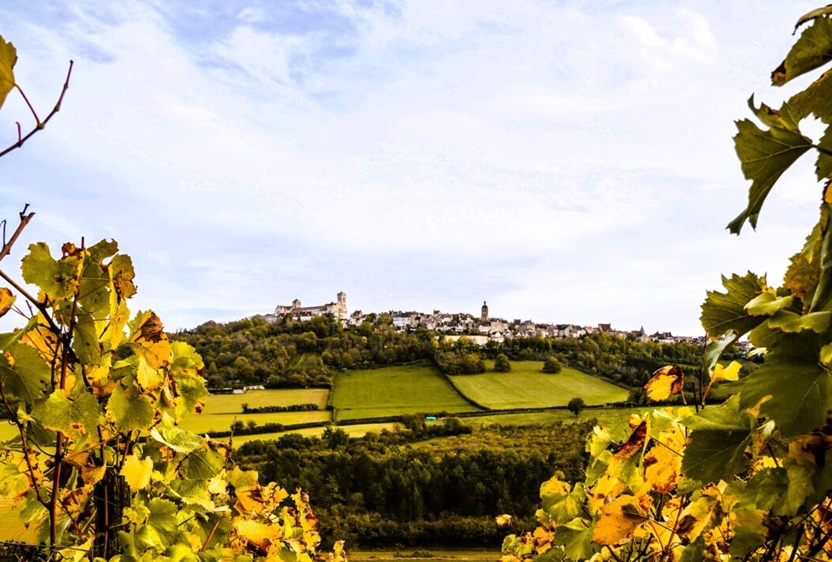 VIGNES-VZL-2022-CREDIT-CORENTIN-JANVIER1-OTDUGRANDVEZELAY-COPYRIGHT-HOTEL LES GLYCINES-